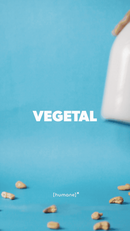 Super Milk - Castanha de Caju Orgânica