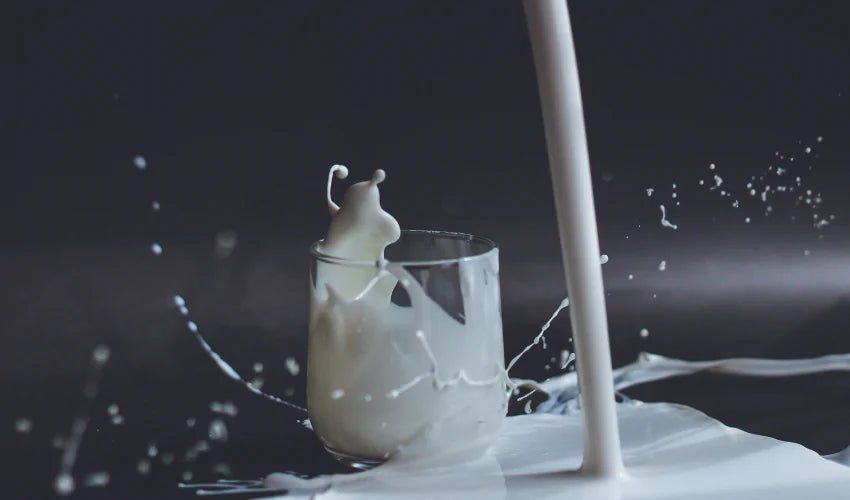 Super Milk: seu leite vegetal mais acessível, versátil e delicioso humane